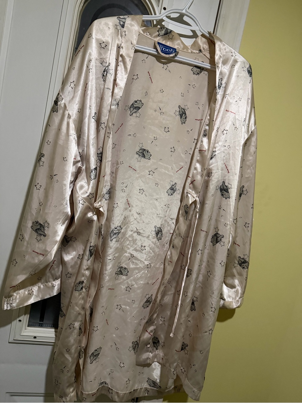Winnie The Pooh Satin Robe in Light Champagne